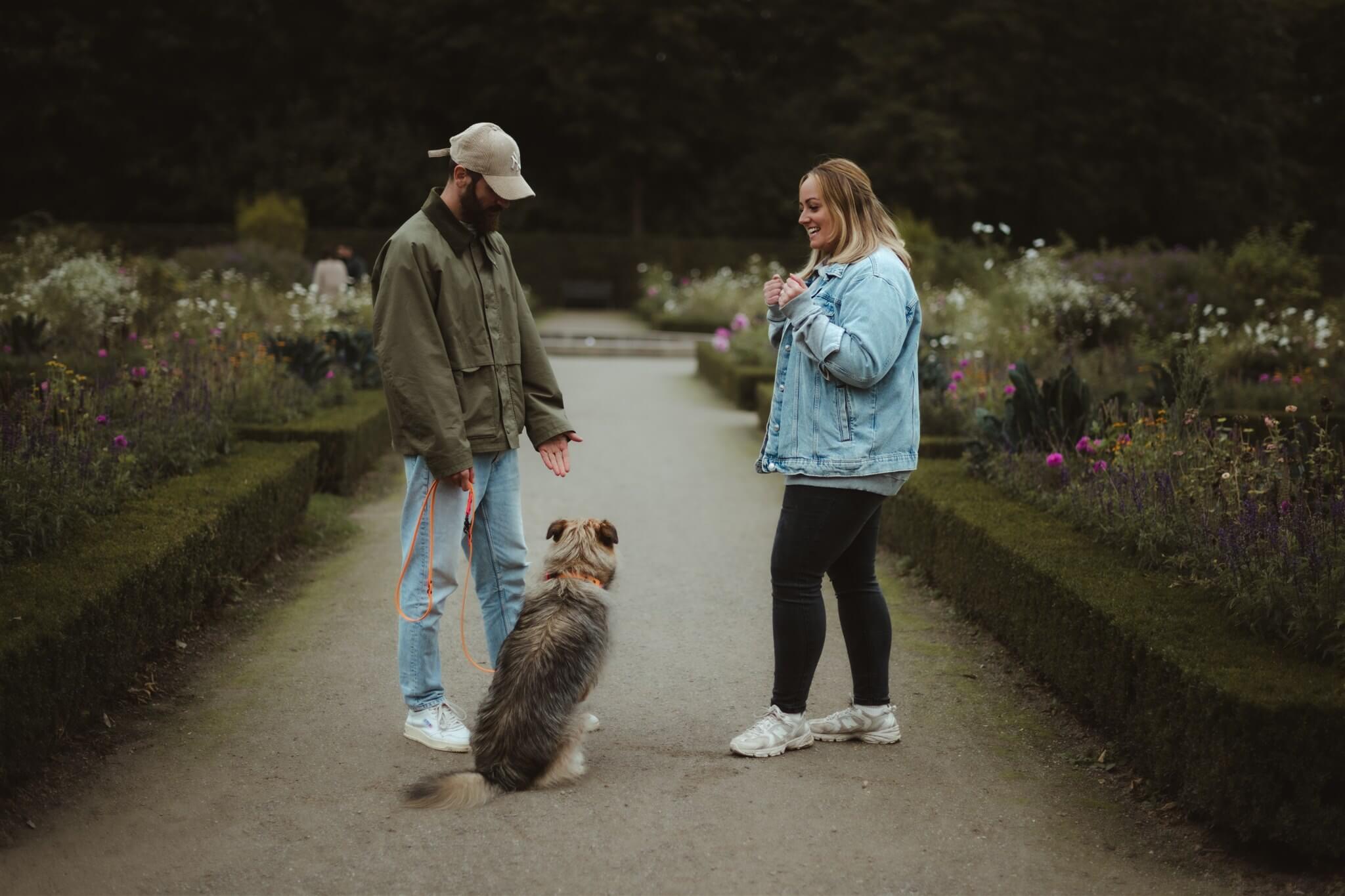 Erstgespräch Angebote Hundetraining Düsseldorf