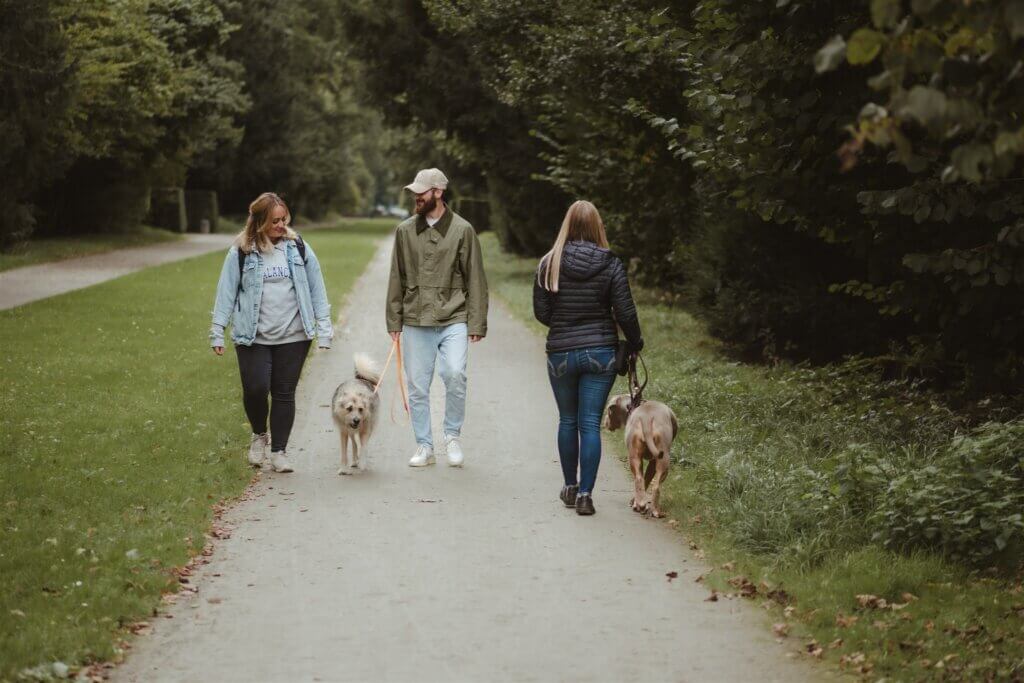 Einzelstunden Hundetraining Düsseldorf