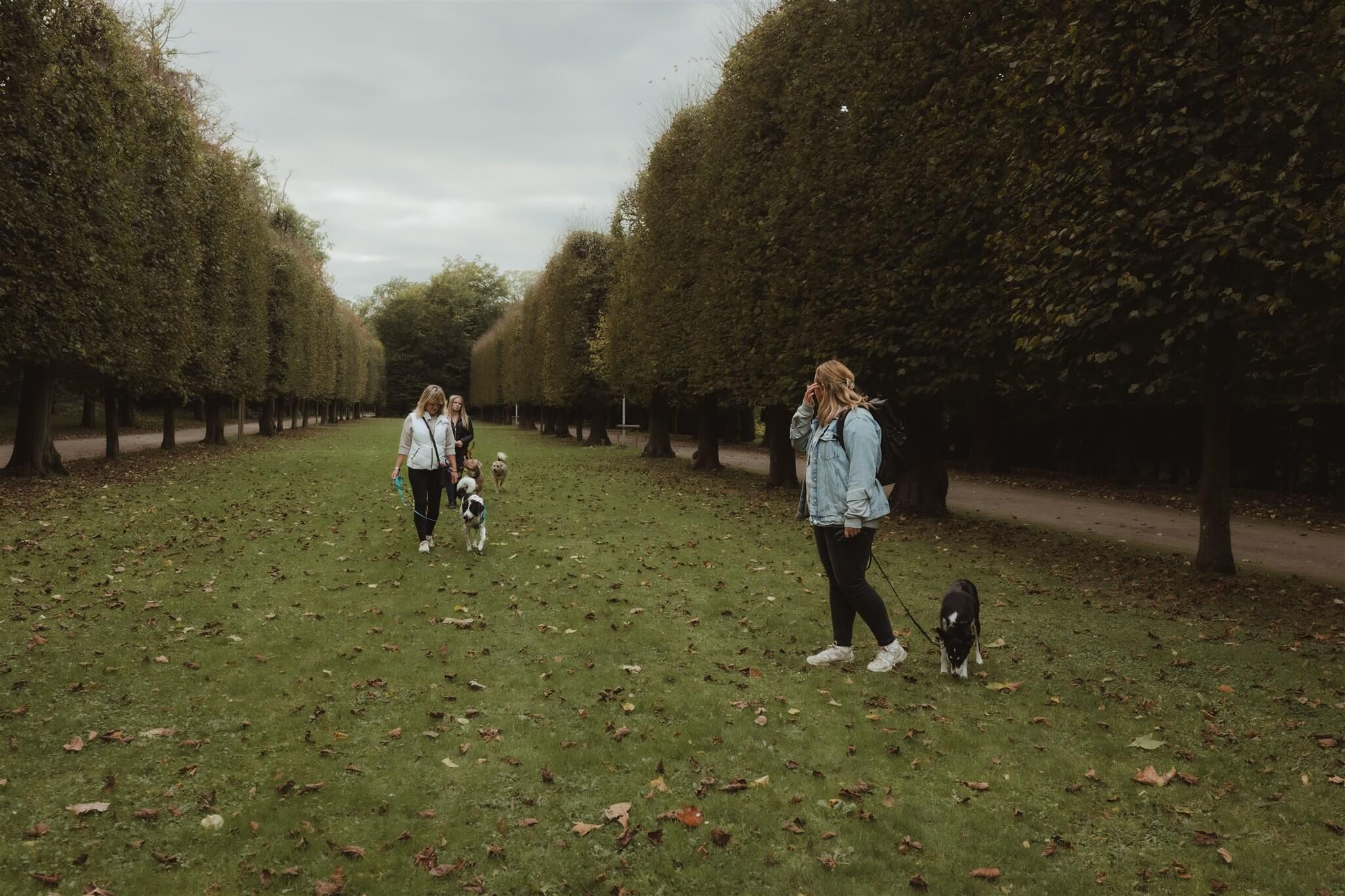 Hundetraining Düsseldorf