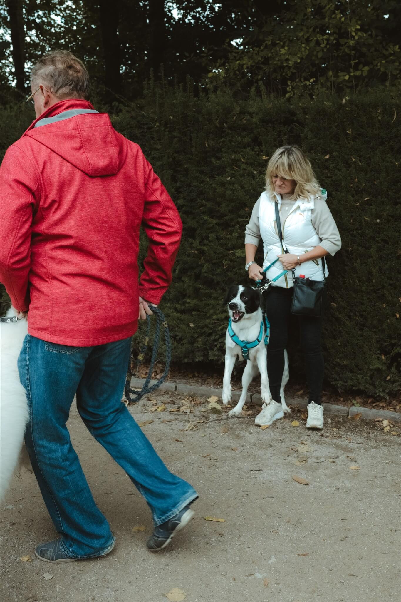 Weiterbildung für beste Ergebnisse Durch meine stetigen Weiterbildungen erweitere ich meinen „Werkzeugkoffer“, um dir und deinem Hund bestmöglich helfen zu können. Ob du Fragen zum häuslichen Bereich, der Welpenzeit, Leinenführigkeit oder speziellen Verhaltensweisen hast – gemeinsam finden wir den richtigen Weg für euch als Team.