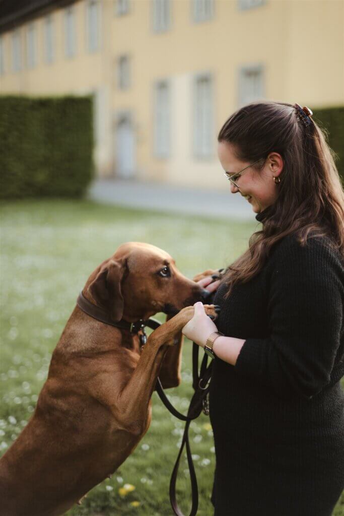 Hundetraining Düsseldorf