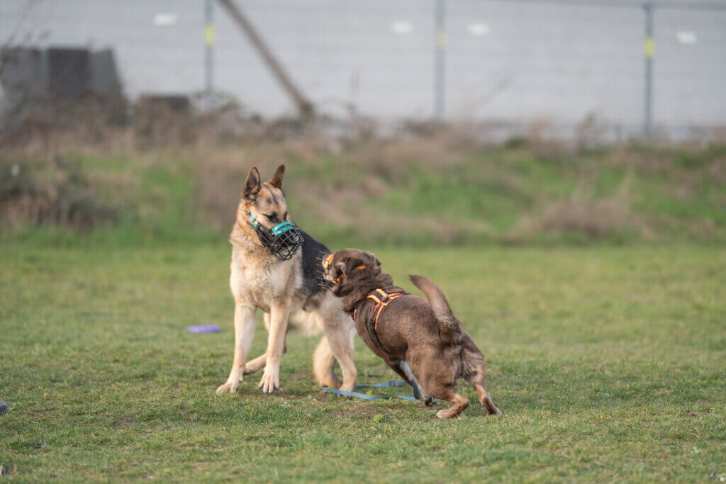 Sozialkontaktstunde Düsseldorf