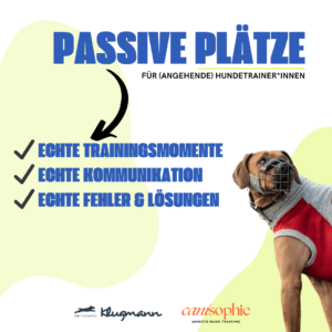 Passive Teilnahme für (angehende) Hundetrainer:innen