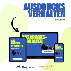 Live Webinar: Blickschulung: Ausdrucksverhalten