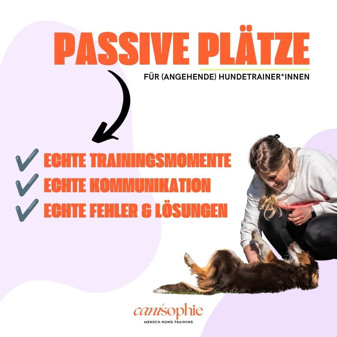 Passive Teilnahme: Workshop Lob & Korrektur