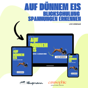 Live Webinar: Auf dünnem Eis / Blickschulung
