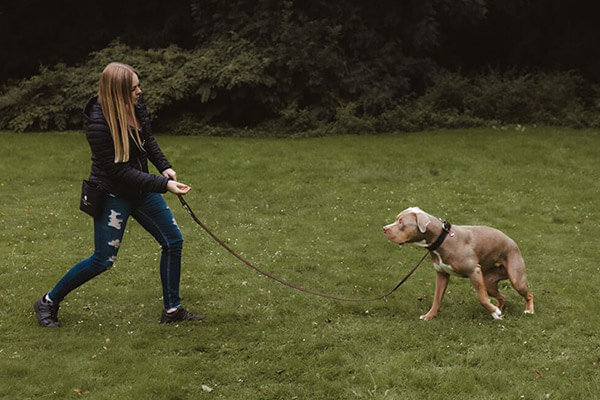 Hundehalterin trainiert bei canisophie mit ihrem Hund an der Leine.