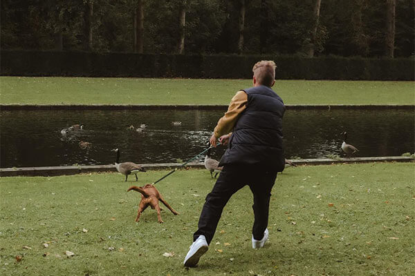 Hundetraining Jagdverhalten