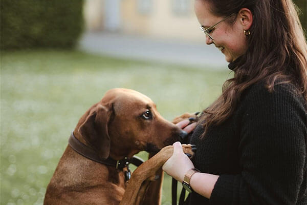 Hundetraining Workshops. Hundehalterin mit ihrem Hund.