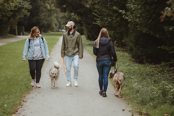 Individuelles Hundetraining in Düsseldorf
