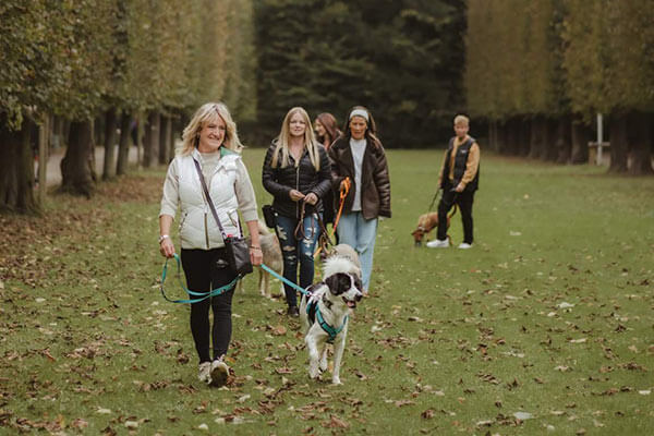 Social Walks für Mensch-Hund-Teams in Düsseldorf