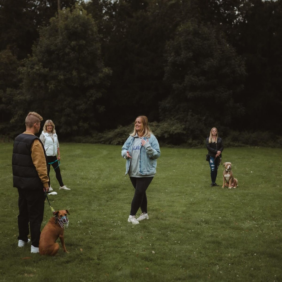 Hundetraining Düsseldorf